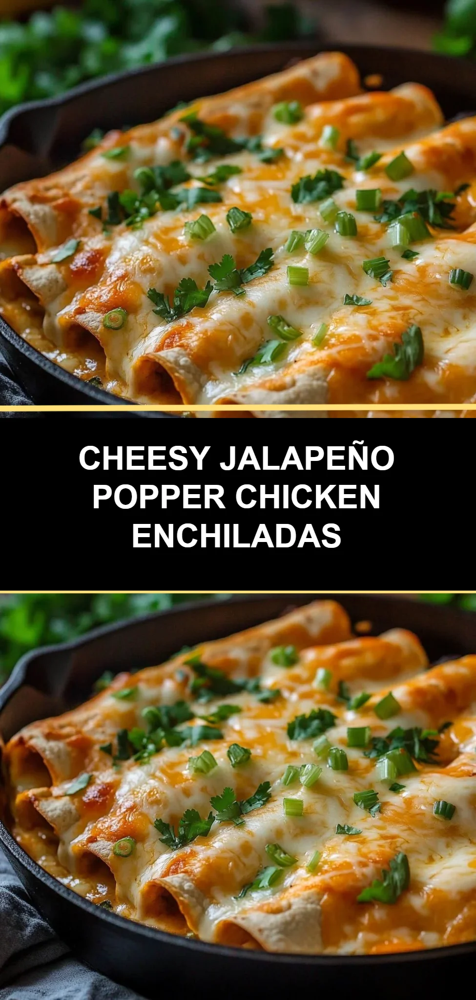 Cheesy Jalapeño Popper Chicken Enchiladas