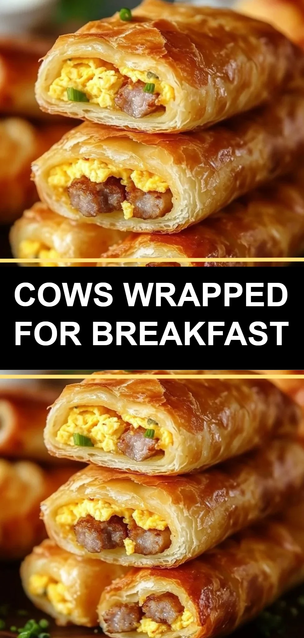 Cows Wrapped for Breakfast