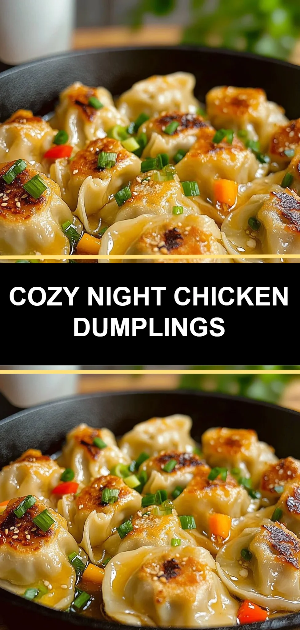 Cozy Night Chicken Dumplings