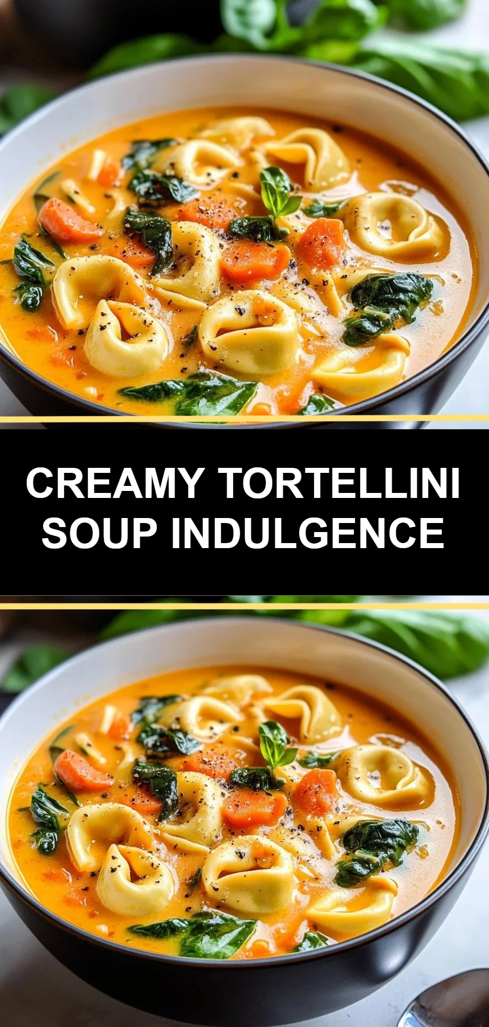 Creamy Tortellini Soup Indulgence