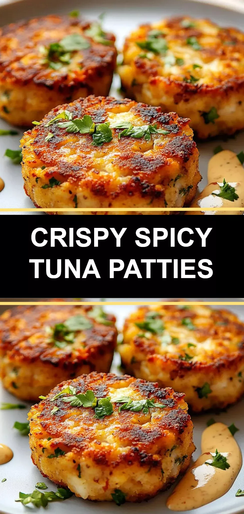 Crispy Spicy Tuna Patties