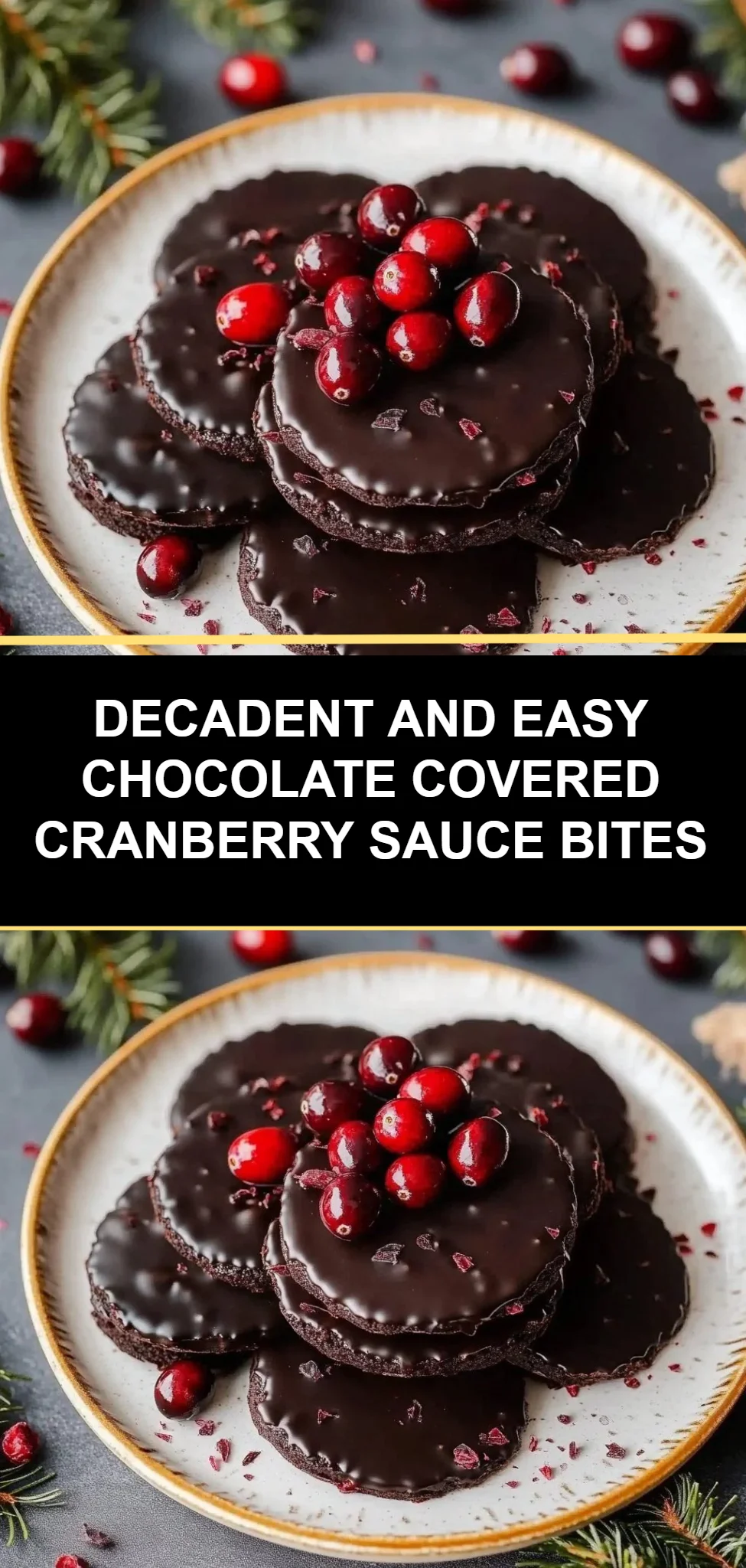 Decadent and Easy Chocolate Covered Cranberry Sauce Bites