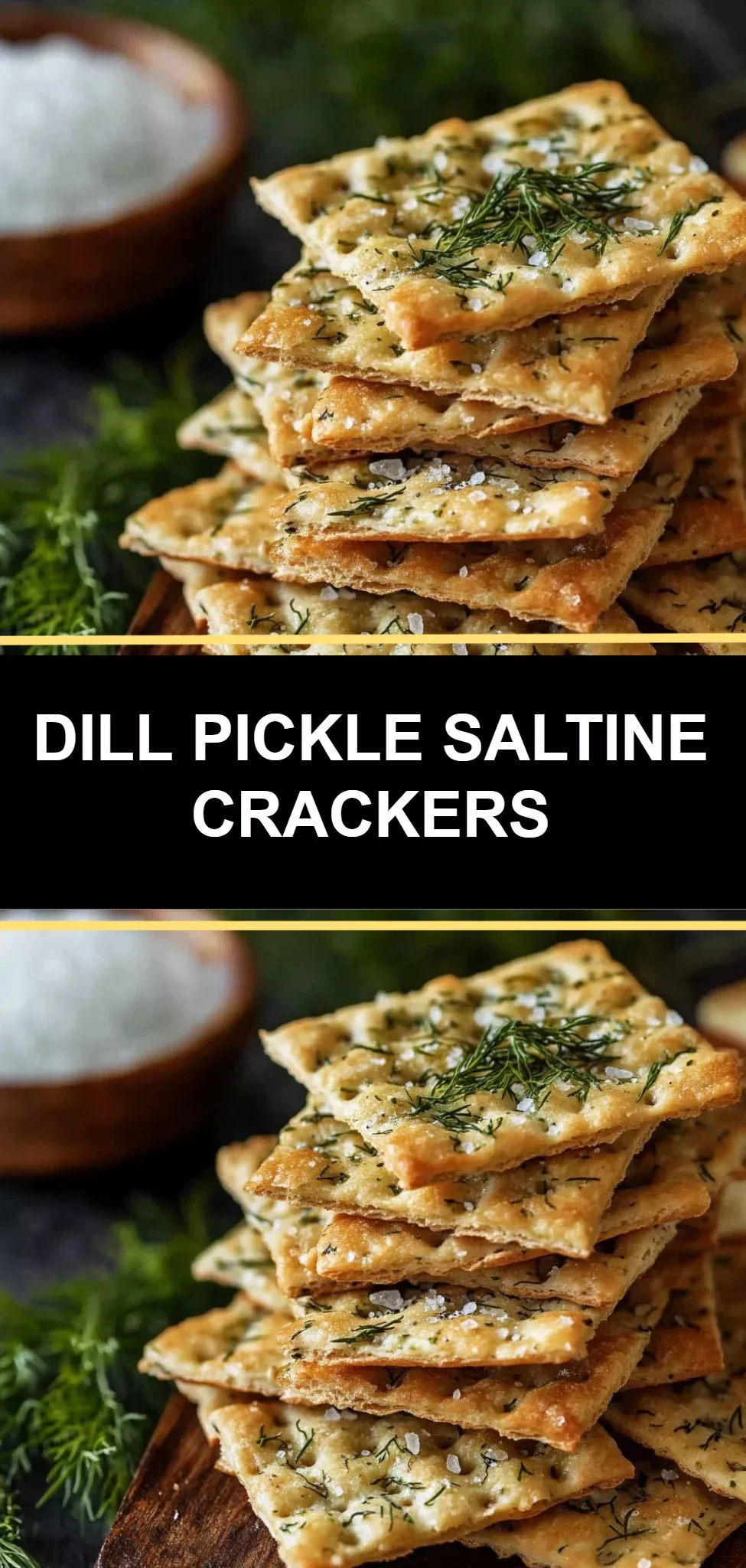 Dill Pickle Saltine Crackers
