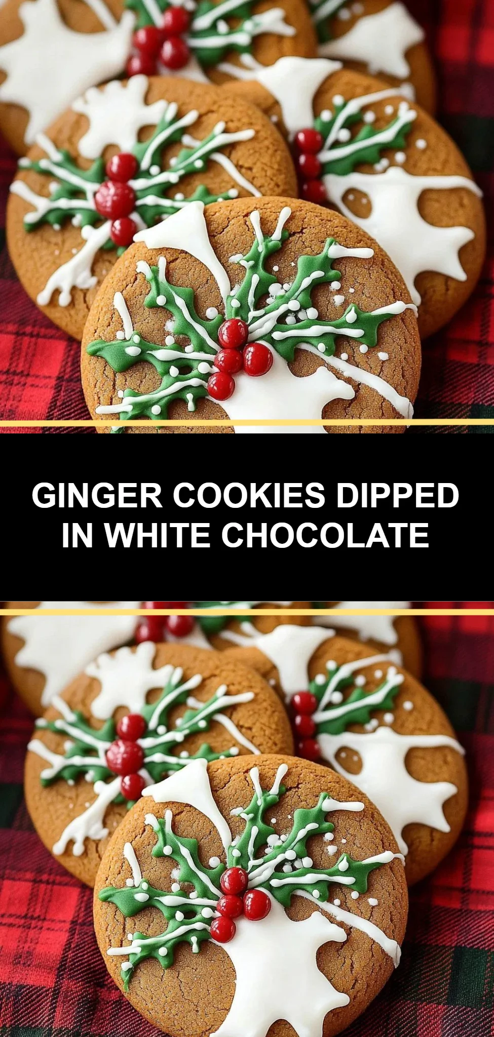 Ginger Cookies Dipped in White Chocolate