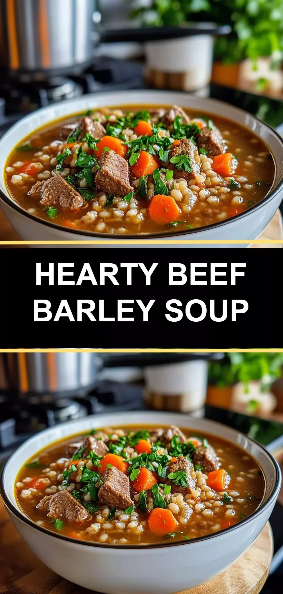 Hearty Beef Barley Soup