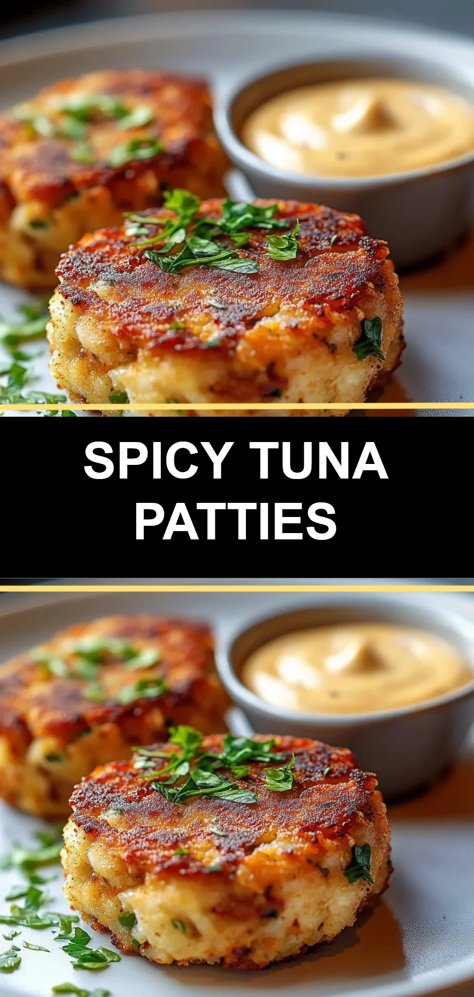 Spicy Tuna Patties