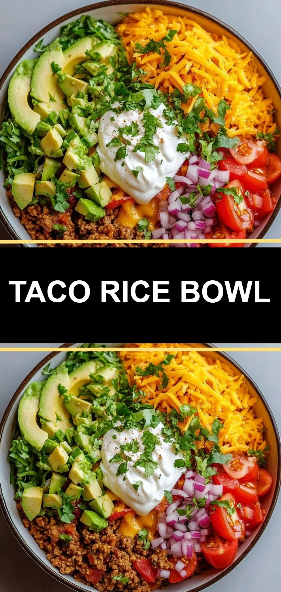 Taco Rice Bowl